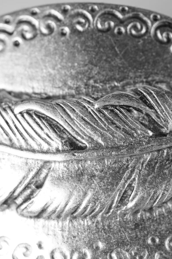 Feder auf Oval Gürtelschnalle gs28ds.40 sw Detail